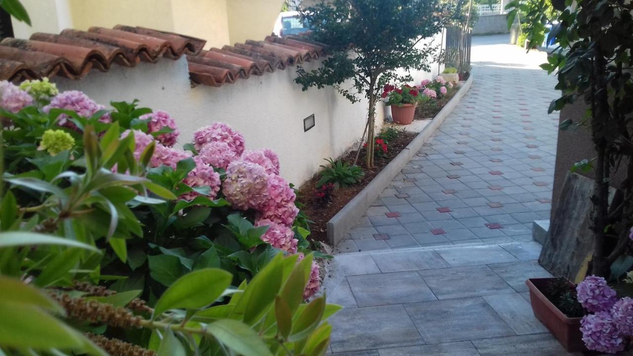 ביוגראד נה מורו Apartments Filipovic מראה חיצוני תמונה