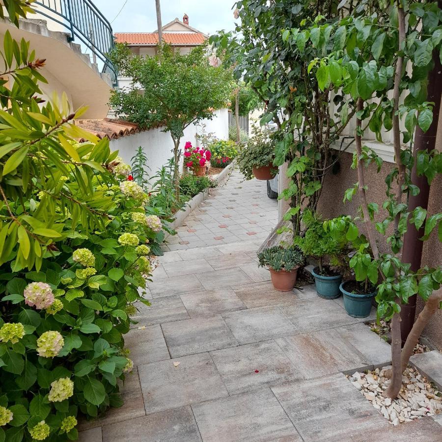 ביוגראד נה מורו Apartments Filipovic מראה חיצוני תמונה