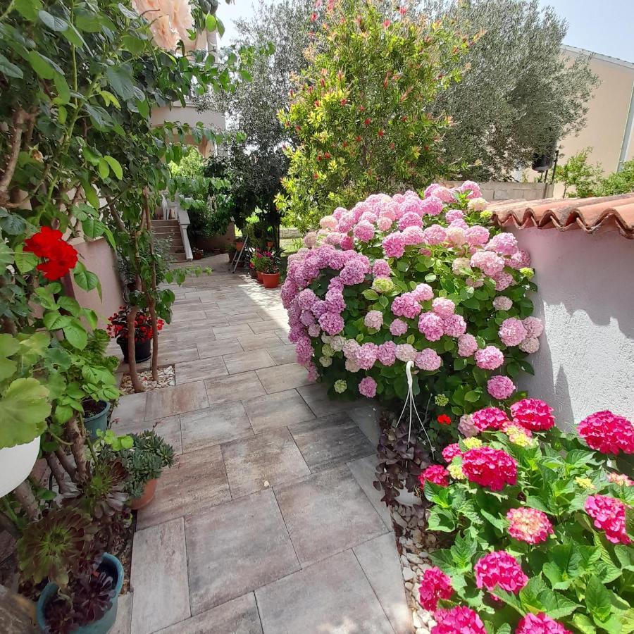 ביוגראד נה מורו Apartments Filipovic מראה חיצוני תמונה