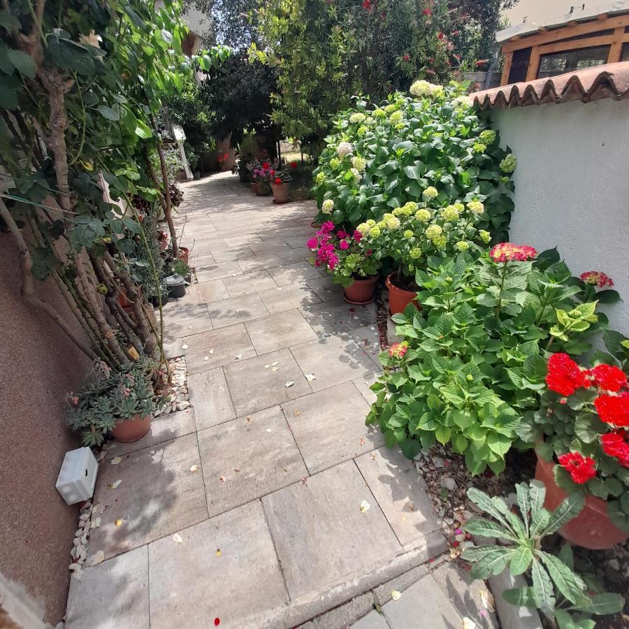 ביוגראד נה מורו Apartments Filipovic מראה חיצוני תמונה