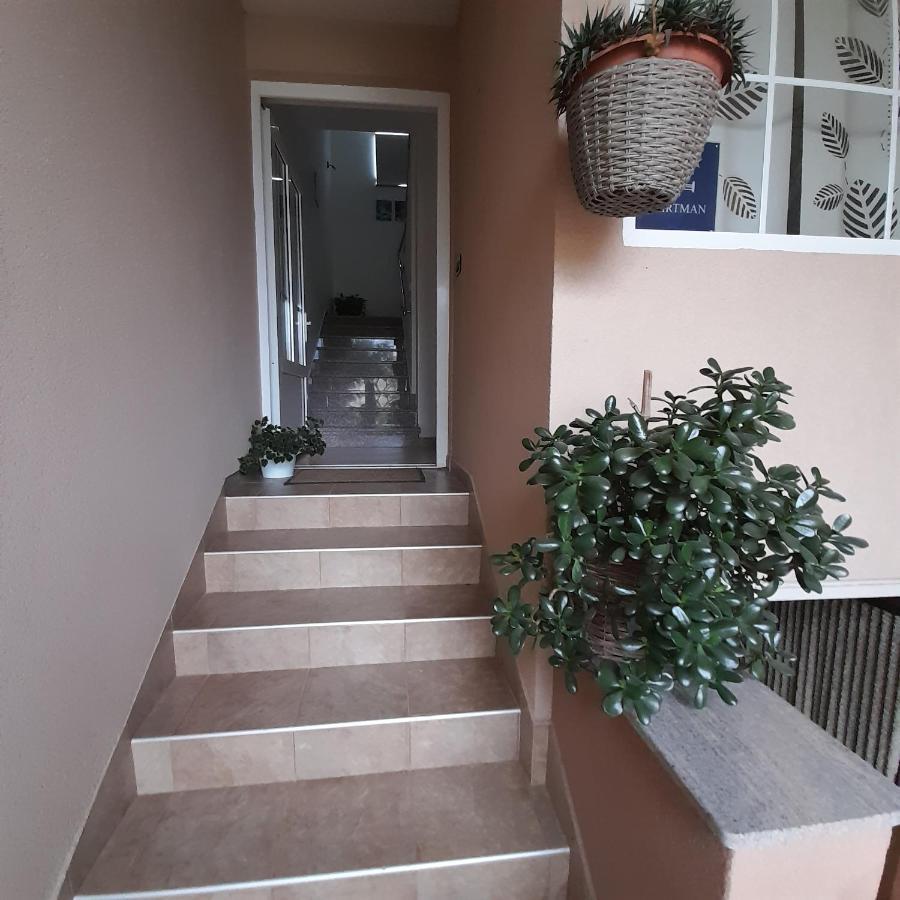 ביוגראד נה מורו Apartments Filipovic מראה חיצוני תמונה